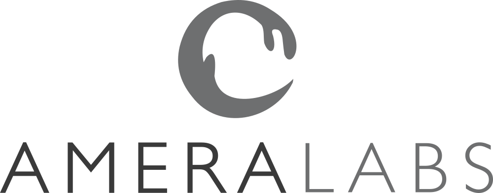 AmeraLabs logo
