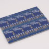 Malenki-HV Antweight Robot Brushed ESC